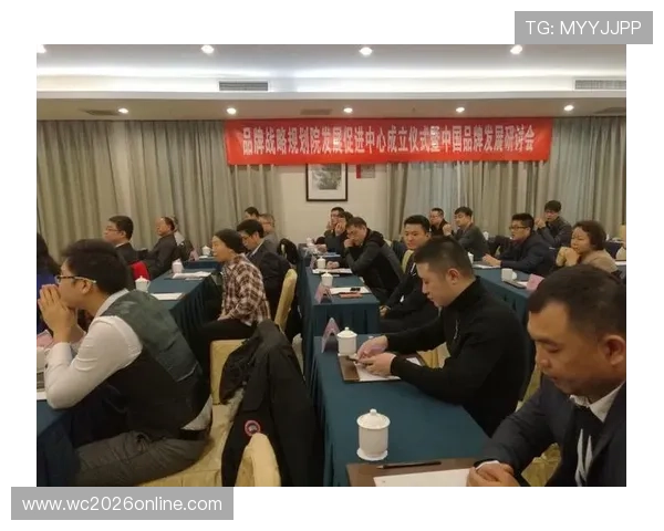 西汉姆联俱乐部历史发展与未来战略全面解析